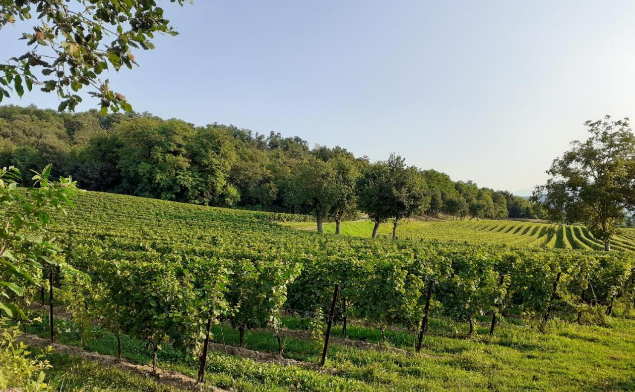 Vicolo Del Nido B&B Paderno Franciacorta Exterior foto