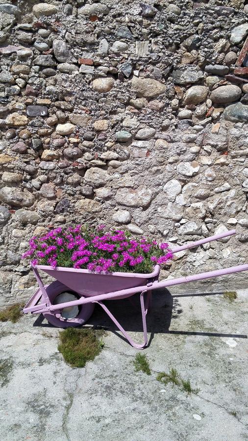 Vicolo Del Nido B&B Paderno Franciacorta Exterior foto